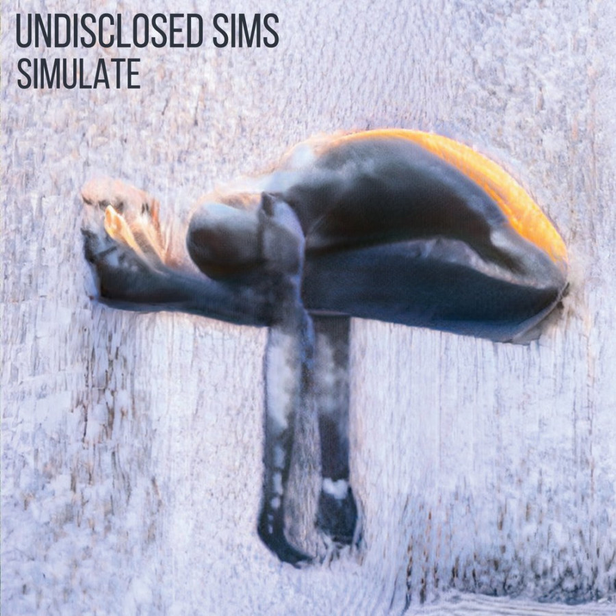 Undisclosed Undisclosed Sims, Twin Talk, Nunn - The Visualist